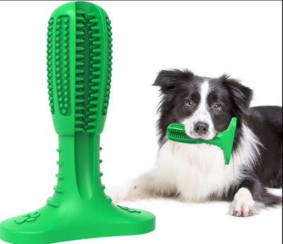 Care Dog Toothbrush - Durable Natural Rubber Chew Toy for Teeth Cleaning, Large