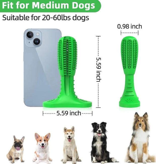 Care Dog Toothbrush - Durable Natural Rubber Chew Toy for Teeth Cleaning, Large