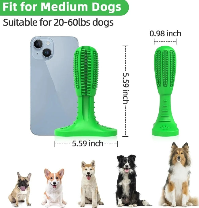 Care Dog Toothbrush - Durable Natural Rubber Chew Toy for Teeth Cleaning, Large