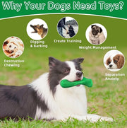 Care Dog Toothbrush - Durable Natural Rubber Chew Toy for Teeth Cleaning, Large