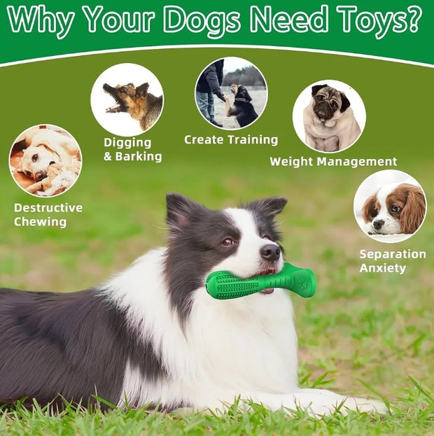 Care Dog Toothbrush - Durable Natural Rubber Chew Toy for Teeth Cleaning, Large