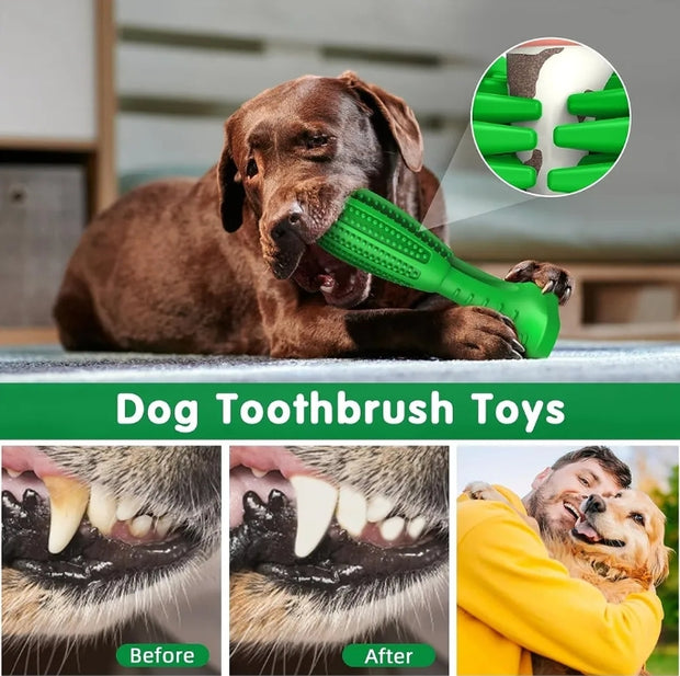 Care Dog Toothbrush - Durable Natural Rubber Chew Toy for Teeth Cleaning, Large