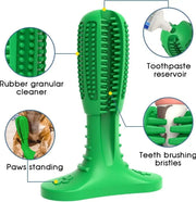 Care Dog Toothbrush Pack of Two- Durable Natural Rubber Chew Toy for Teeth Cleaning, Large