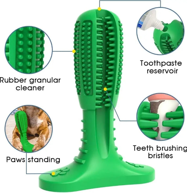 Care Dog Toothbrush Pack of Two- Durable Natural Rubber Chew Toy for Teeth Cleaning, Large