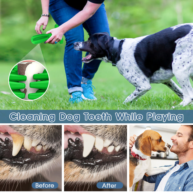 Care Dog Toothbrush Pack of Two- Durable Natural Rubber Chew Toy for Teeth Cleaning, Large