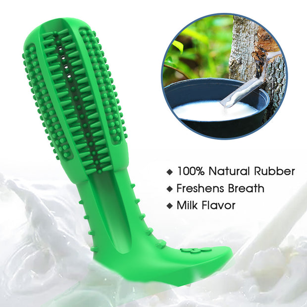 Care Dog Toothbrush Pack of Two- Durable Natural Rubber Chew Toy for Teeth Cleaning, Large